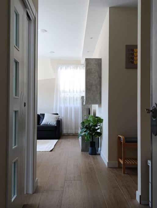 Amplio Y Tranquilo Apartamento Casa Salamanca Dış mekan fotoğraf